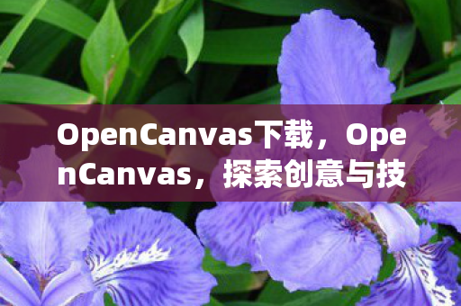 OpenCanvas下载，OpenCanvas，探索创意与技术的无限可能