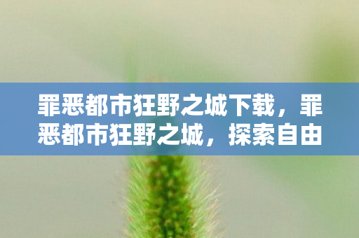 罪恶都市狂野之城下载，罪恶都市狂野之城，探索自由与混乱的边界