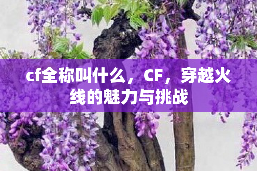 cf全称叫什么，CF，穿越火线的魅力与挑战