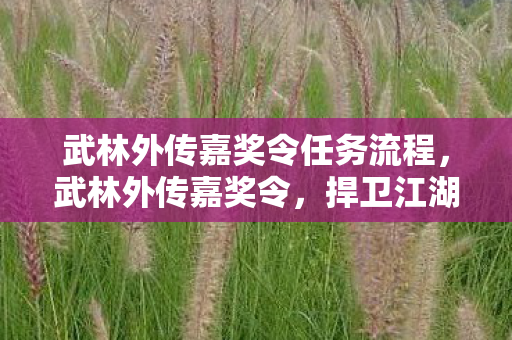 武林外传嘉奖令任务流程，武林外传嘉奖令，捍卫江湖正义，共筑武林辉煌