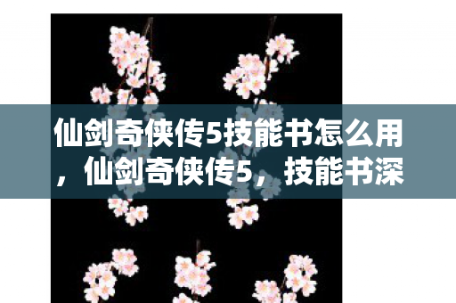 仙剑奇侠传5技能书怎么用，仙剑奇侠传5，技能书深度解析