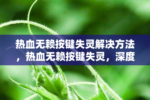 热血无赖按键失灵解决方法，热血无赖按键失灵，深度解析与解决方案