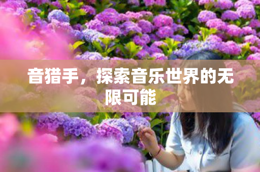 音猎手，探索音乐世界的无限可能