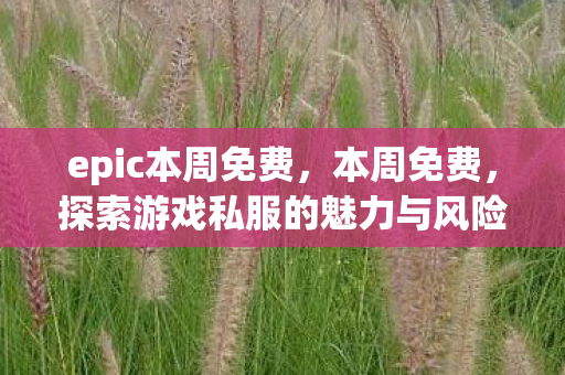epic本周免费，本周免费，探索游戏私服的魅力与风险