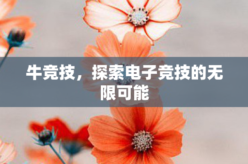 牛竞技，探索电子竞技的无限可能