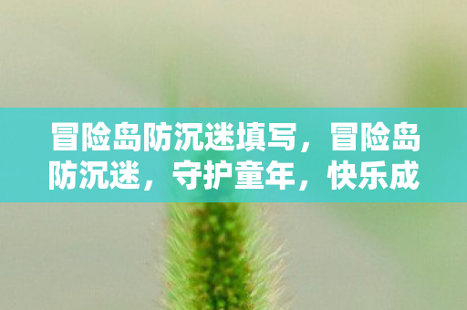 冒险岛防沉迷填写，冒险岛防沉迷，守护童年，快乐成长