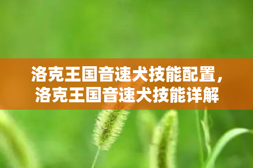 洛克王国音速犬技能配置，洛克王国音速犬技能详解