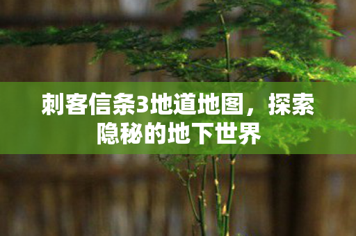 刺客信条3地道地图，探索隐秘的地下世界