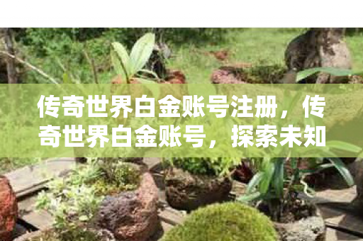 传奇世界白金账号注册，传奇世界白金账号，探索未知世界的钥匙