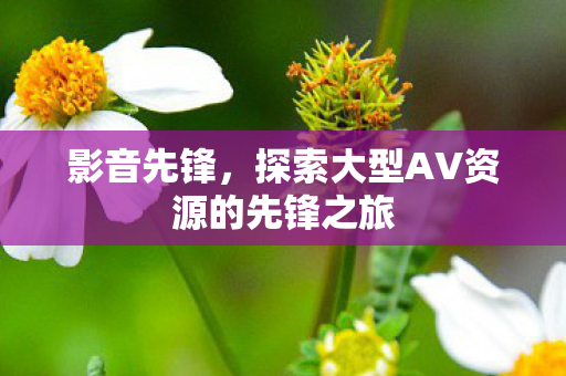 影音先锋，探索大型AV资源的先锋之旅