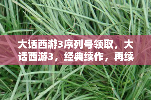 大话西游3序列号领取，大话西游3，经典续作，再续前缘