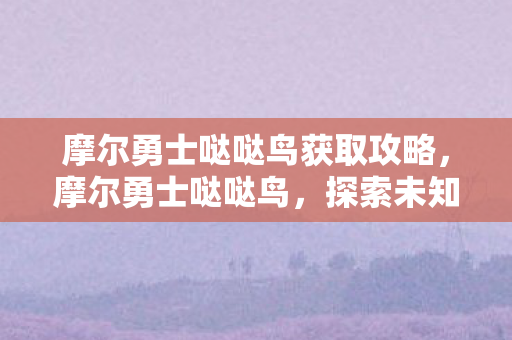 摩尔勇士哒哒鸟获取攻略，摩尔勇士哒哒鸟，探索未知世界的奇妙旅程