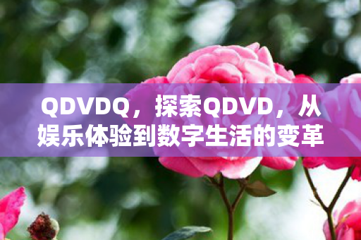 QDVDQ，探索QDVD，从娱乐体验到数字生活的变革