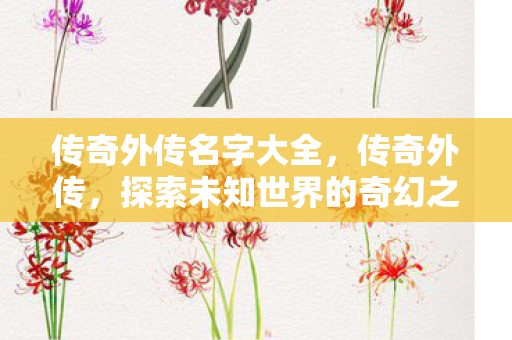 传奇外传名字大全，传奇外传，探索未知世界的奇幻之旅