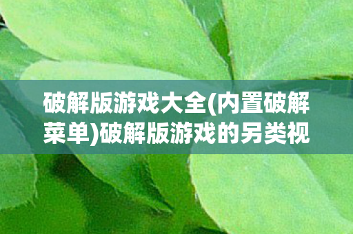 破解版游戏大全(内置破解菜单)破解版游戏的另类视角，探索未知与挑战规则的边界