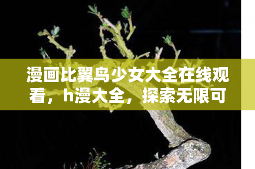 漫画比翼鸟少女大全在线观看，h漫大全，探索无限可能的动漫世界