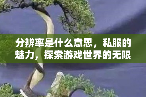 分辨率是什么意思，私服的魅力，探索游戏世界的无限可能