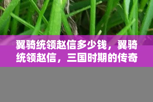 翼骑统领赵信多少钱，翼骑统领赵信，三国时期的传奇骑兵将领