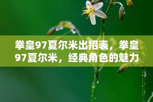 拳皇97夏尔米出招表，拳皇97夏尔米，经典角色的魅力与游戏文化的传承