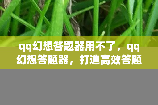 qq幻想答题器用不了，qq幻想答题器，打造高效答题体验，助力幻想之旅