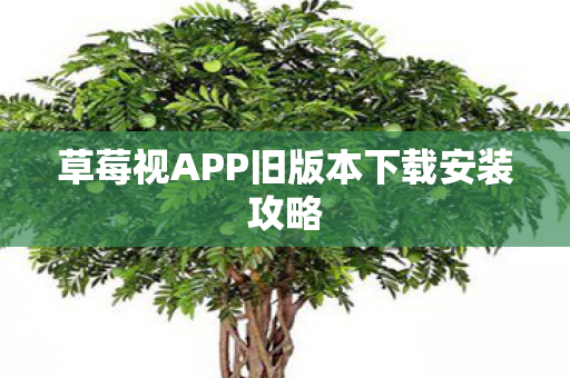 草莓视APP旧版本下载安装攻略