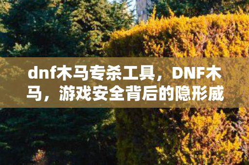 dnf木马专杀工具，DNF木马，游戏安全背后的隐形威胁