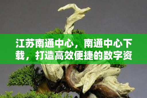 江苏南通中心，南通中心下载，打造高效便捷的数字资源获取平台