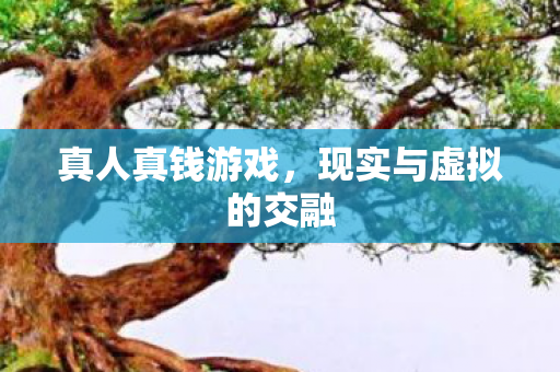 真人真钱游戏，现实与虚拟的交融