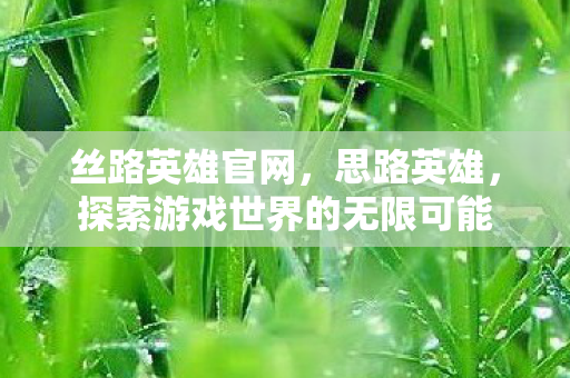 丝路英雄官网，思路英雄，探索游戏世界的无限可能