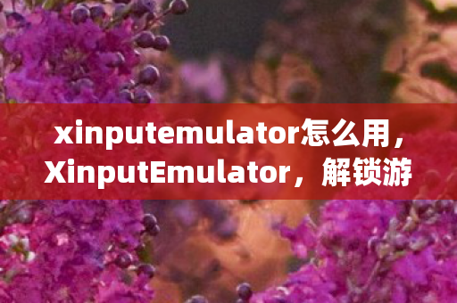 xinputemulator怎么用，XinputEmulator，解锁游戏控制的新境界