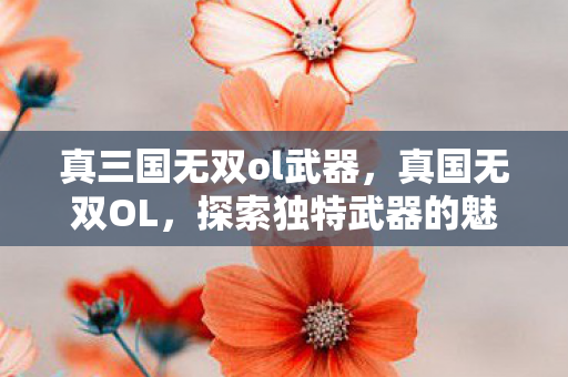 真三国无双ol武器，真国无双OL，探索独特武器的魅力