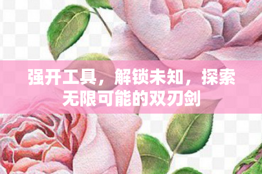 强开工具，解锁未知，探索无限可能的双刃剑