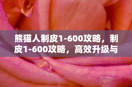 熊猫人制皮1-600攻略，制皮1-600攻略，高效升级与技能提升全面指南