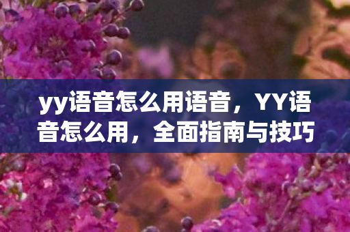yy语音怎么用语音，YY语音怎么用，全面指南与技巧分享