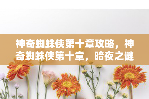 神奇蜘蛛侠第十章攻略，神奇蜘蛛侠第十章，暗夜之谜