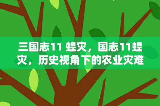 三国志11 蝗灾，国志11蝗灾，历史视角下的农业灾难与应对