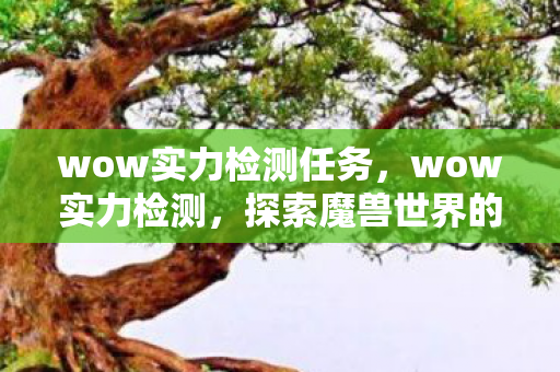 wow实力检测任务，wow实力检测，探索魔兽世界的真正强者之路