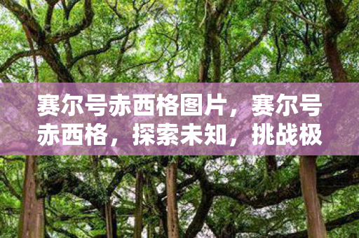 赛尔号赤西格图片，赛尔号赤西格，探索未知，挑战极限