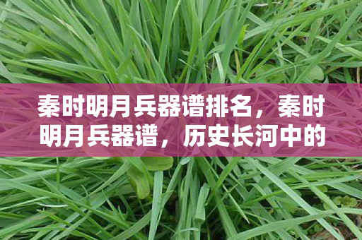 秦时明月兵器谱排名，秦时明月兵器谱，历史长河中的冷兵器传奇