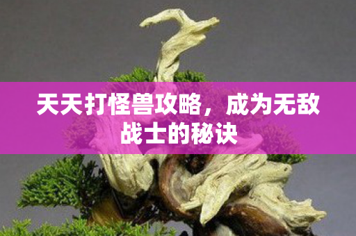 天天打怪兽攻略，成为无敌战士的秘诀