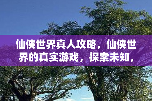 仙侠世界真人攻略，仙侠世界的真实游戏，探索未知，挑战自我