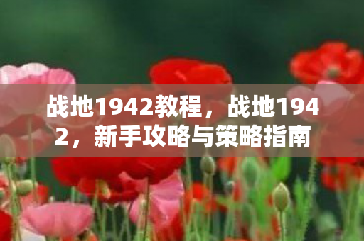 战地1942教程，战地1942，新手攻略与策略指南