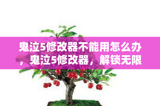 鬼泣5修改器不能用怎么办，鬼泣5修改器，解锁无限可能的合法途径