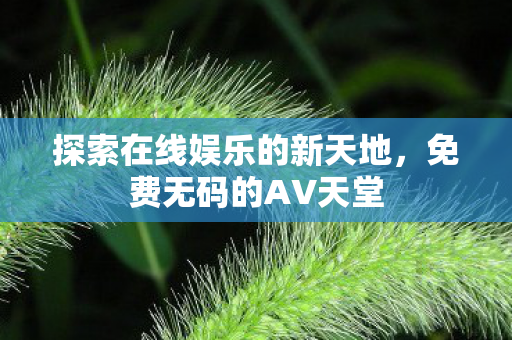 探索在线娱乐的新天地，免费无码的AV天堂