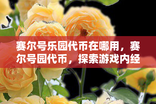 赛尔号乐园代币在哪用，赛尔号园代币，探索游戏内经济的新维度