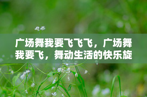 广场舞我要飞飞飞，广场舞我要飞，舞动生活的快乐旋律