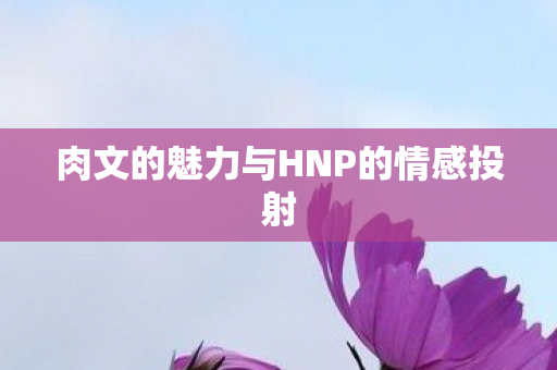 肉文的魅力与HNP的情感投射 肉文的魅力与HNP的情感投射