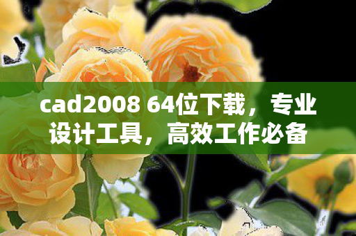 cad2008 64位下载，专业设计工具，高效工作必备