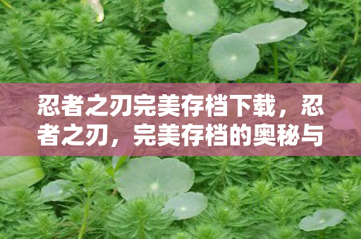忍者之刃完美存档下载，忍者之刃，完美存档的奥秘与探索
