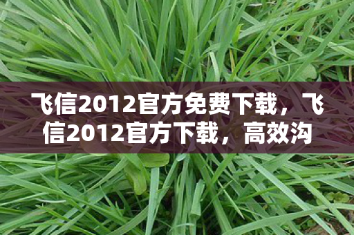 飞信2012官方免费下载，飞信2012官方下载，高效沟通，从信开始